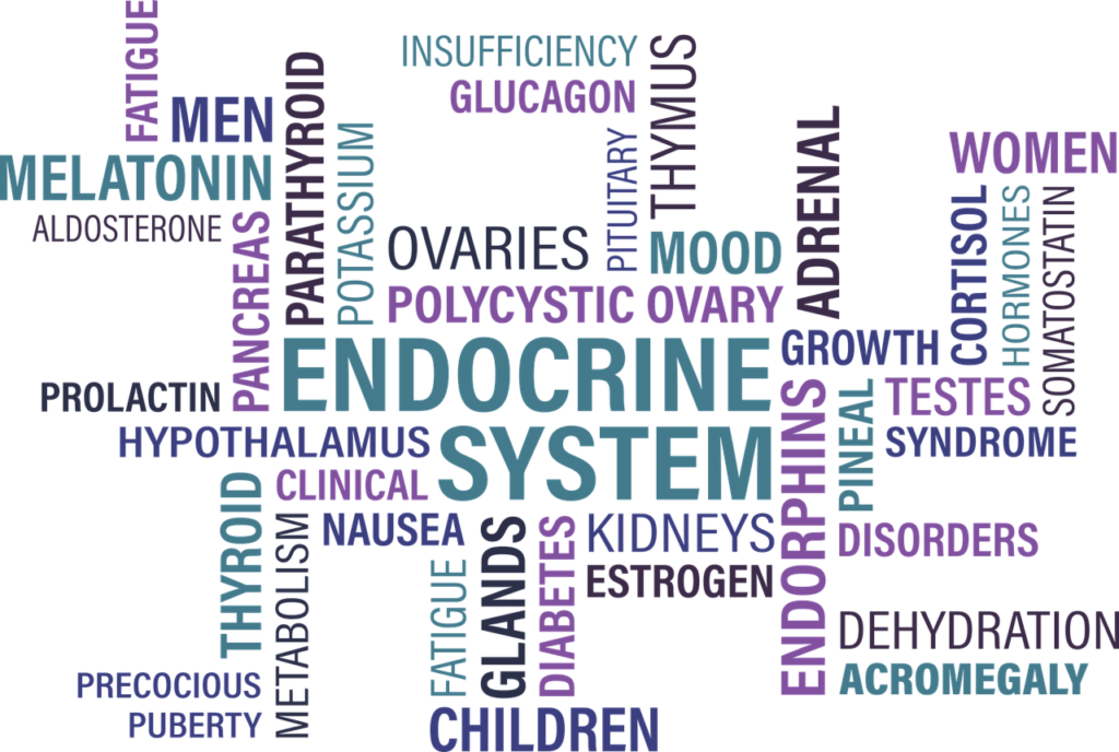 ENDOCRINOLOGIA 1