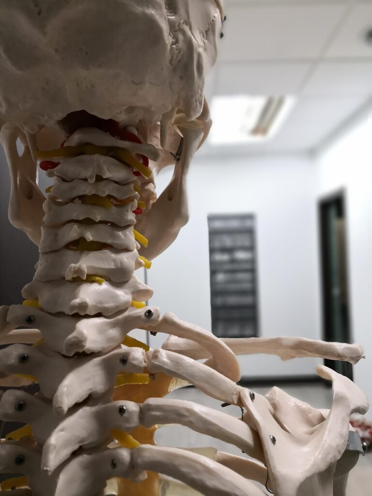 OSTEOPATIA 1